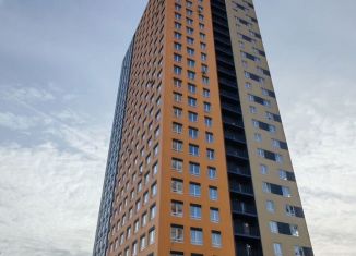 Продается 3-ком. квартира, 85 м2, деревня Анкудиновка, Черкесская улица, 17