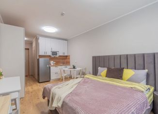 Сдается квартира студия, 25 м2, посёлок Парголово, Толубеевский проезд, 8к2