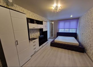 Сдается в аренду 1-ком. квартира, 38 м2, Санкт-Петербург, улица Пионерстроя, 17к1, Красносельский район