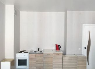 Продам квартиру студию, 29 м2, Барнаул, Балтийская улица, 95, ЖК Матрёшки