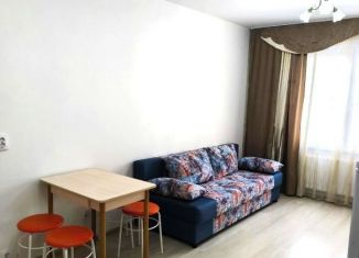 Сдам в аренду квартиру студию, 24 м2, Екатеринбург, Латвийская улица, 58/3