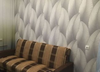 Сдам в аренду квартиру студию, 18 м2, Тихвин, 4-й микрорайон, 4