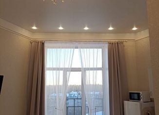 Сдача в аренду квартиры студии, 29.9 м2, поселок Зональная Станция, Совхозная улица, 2Б