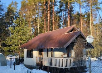 Сдается в аренду дом, 40 м2, поселок Мичуринское, Сосновый переулок, 5А