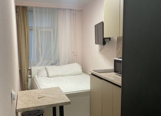 Квартира в аренду студия, 14 м2, Санкт-Петербург, улица Чайковского, 34, Центральный район