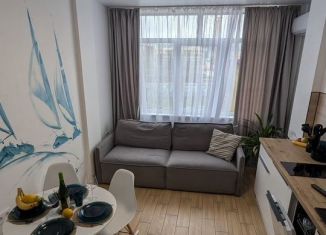 Сдача в аренду двухкомнатной квартиры, 33 м2, Сочи, Хлебозаводской переулок, 10, микрорайон Новый Сочи