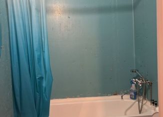 Аренда квартиры студии, 20 м2, Мурино, Воронцовский бульвар, 16к1, ЖК Краски Лета