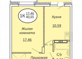 Продам однокомнатную квартиру, 40.7 м2, Новосибирская область