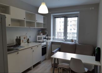 Сдается 1-комнатная квартира, 30.8 м2, городской посёлок Янино-1, Голландская улица, 10, ЖК Новое Янино