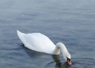 Продажа участка, 3 сот., Суворовское сельское поселение, 35К-015