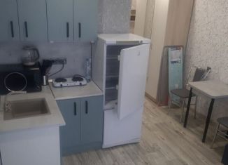 Сдаю в аренду квартиру студию, 19.7 м2, Екатеринбург, микрорайон Светлый, 12