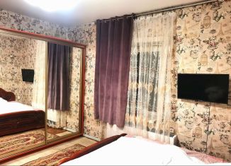 Сдам в аренду дом, 45 м2, Петергоф, Троицкая улица, 26