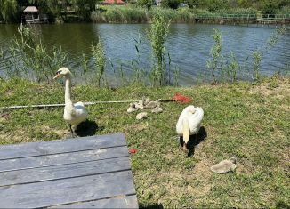 Сдача в аренду дома, 45 м2, село Красносельское