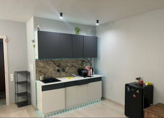 Сдам в аренду квартиру студию, 52 м2, посёлок Парголово, Заречная улица, 13к4