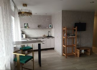 Аренда квартиры студии, 35 м2, Пермский край, Юбилейная улица, 62