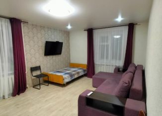 Аренда 2-ком. квартиры, 50 м2, Кировская область, улица Терещенко, 5