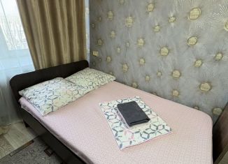 Сдается двухкомнатная квартира, 50 м2, Ачинск, 2-й микрорайон, 23
