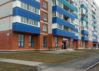 Сдаю помещение свободного назначения, 20 м2, Псковская область, Пражская улица, 8/12