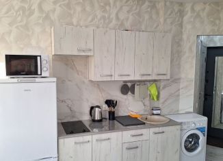 Сдача в аренду квартиры студии, 30 м2, Щербинка, квартал Южный, 6