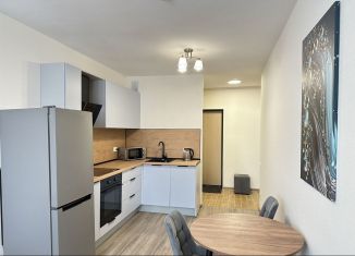 Сдам 1-ком. квартиру, 38.6 м2, посёлок Парголово, Заречная улица, 54