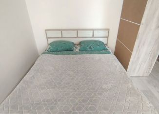 Сдается в аренду 1-комнатная квартира, 30 м2, Республика Башкортостан, Айская улица, 75/1