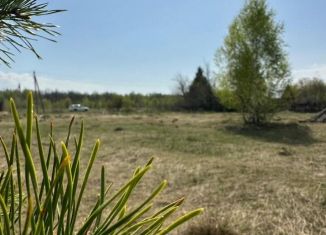 Продам участок, 25 сот., село Тетеево, Залесная улица, 59