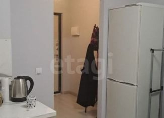 Продам квартиру студию, 22.8 м2, Кудрово, проспект Строителей, 16, ЖК Геометрия