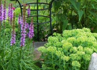 Продаю дом, 30 м2, Сельцо