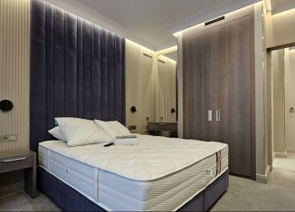 Сдача в аренду 1-ком. квартиры, 38 м2, Сочи, улица Ленина, 217А, микрорайон Курортный Городок