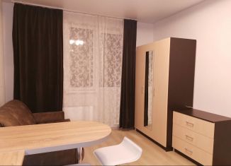 Продам квартиру студию, 21.5 м2, Санкт-Петербург, Парашютная улица, 42к1, ЖК Граффити