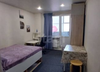 Сдам в аренду квартиру студию, 23.3 м2, посёлок Шушары, Новгородский проспект, 4