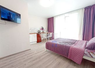 Продается квартира студия, 26 м2, посёлок Западный, Лесная улица, 32