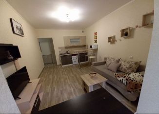 Сдам в аренду квартиру студию, 26 м2, Краснодар, Рождественская набережная, 37, микрорайон Юбилейный