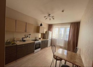 Продается однокомнатная квартира, 45 м2, посёлок Парголово, улица Михаила Дудина, 23к1