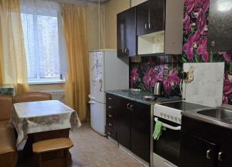 Сдам в аренду 1-ком. квартиру, 35 м2, Санкт-Петербург, улица Котина, 6к1, Красносельский район