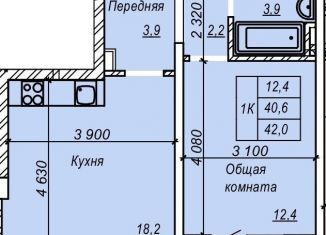 1-ком. квартира на продажу, 42 м2, Новосибирск, улица Зорге, 277