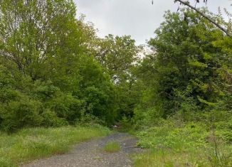 Продажа земельного участка, 20 сот., посёлок городского типа Ореанда