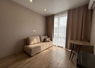 Сдается в аренду квартира студия, 17.6 м2, село Орёл-Изумруд, улица Лазурная Долина, 193А