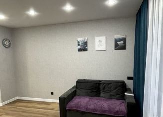 Продается квартира студия, 26 м2, Краснодар, улица им. Героя Яцкова И.В., 9к1, микрорайон Губернский