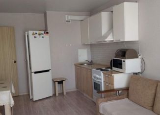 Сдам квартиру студию, 23.8 м2, Ростов-на-Дону, Художественная улица, 9, ЖК Платовский