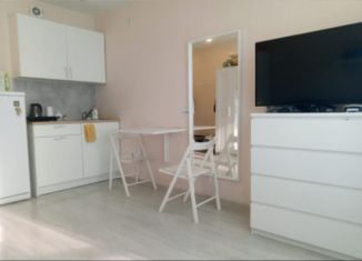 Сдаю квартиру студию, 21 м2, Тюмень, улица Тимофея Чаркова, 28, ЖК Новый Мыс 3.0