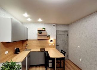 Квартира на продажу студия, 23.7 м2, посёлок Шушары, Новгородский проспект, 4, ЖК Знание