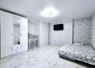 Продажа 1-комнатной квартиры, 21.1 м2, Краснодар, улица Горького, 147, улица Горького