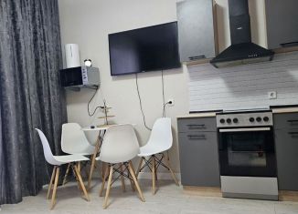 Квартира на продажу студия, 27 м2, деревня Кисловка, бульвар Николая Гумилёва, 4