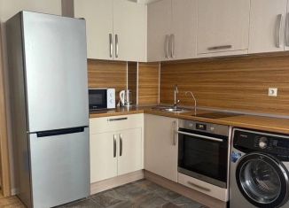 Аренда 1-комнатной квартиры, 41.6 м2, Пермь, Холмогорская улица, 4Г, ЖК Авиатор