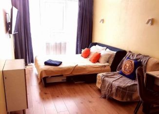 Сдается квартира студия, 27 м2, Сочи, улица Гастелло, 40А, микрорайон Голубые Дали