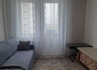 1-ком. квартира в аренду, 30.5 м2, сельский посёлок Новинки, 2-я Дорожная улица, 2