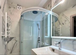 Сдается 2-ком. квартира, 52.4 м2, Мурино, улица Шоссе в Лаврики, 67