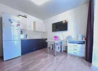 Продажа квартиры студии, 24.2 м2, Тюмень, улица Червишевский Тракт, 45, ЖК Апрель