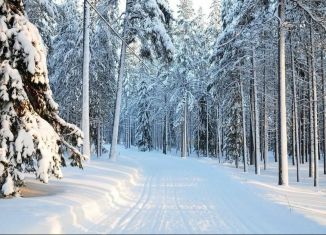 Дача на продажу, 48 м2, Архангельская область